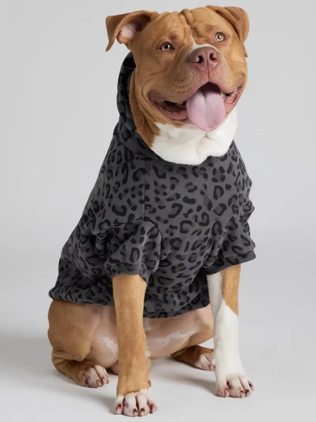 Comfrt Paws | Minimalist Hoodie | Soft Pet Matching Hoodie Puppy Comfrt Paws | Minimalist Hoodie | Soft Pet Matching Hoodie Puppy
