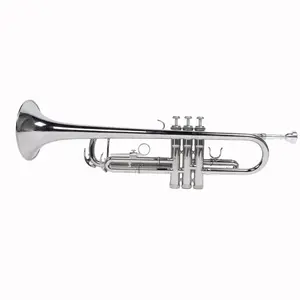 Nickelplated Drop B Adjustable Lacquer Trumpet Kit with Durable Case, Clear Sound, Comfortable Design, Silver Gloves Set – Musical Gifts for Beginners, Festival or Birthday Presents