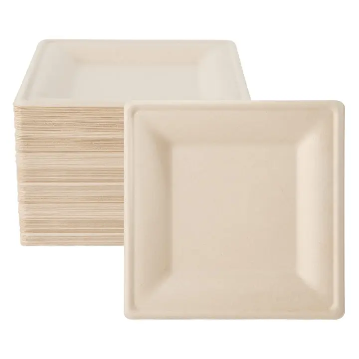 100/125/200/500pc 6in/10in Disposable Compostable Square Paper Plates Plates Cutlery Sets｜BPA-Free, Cut-Resistant snack plate / Toxin-Free, Plastic-Free,Rustic Snack Plate,Dinner Plates,Dessert Plates,for Luxury Party Reusable Sturdy Birthday