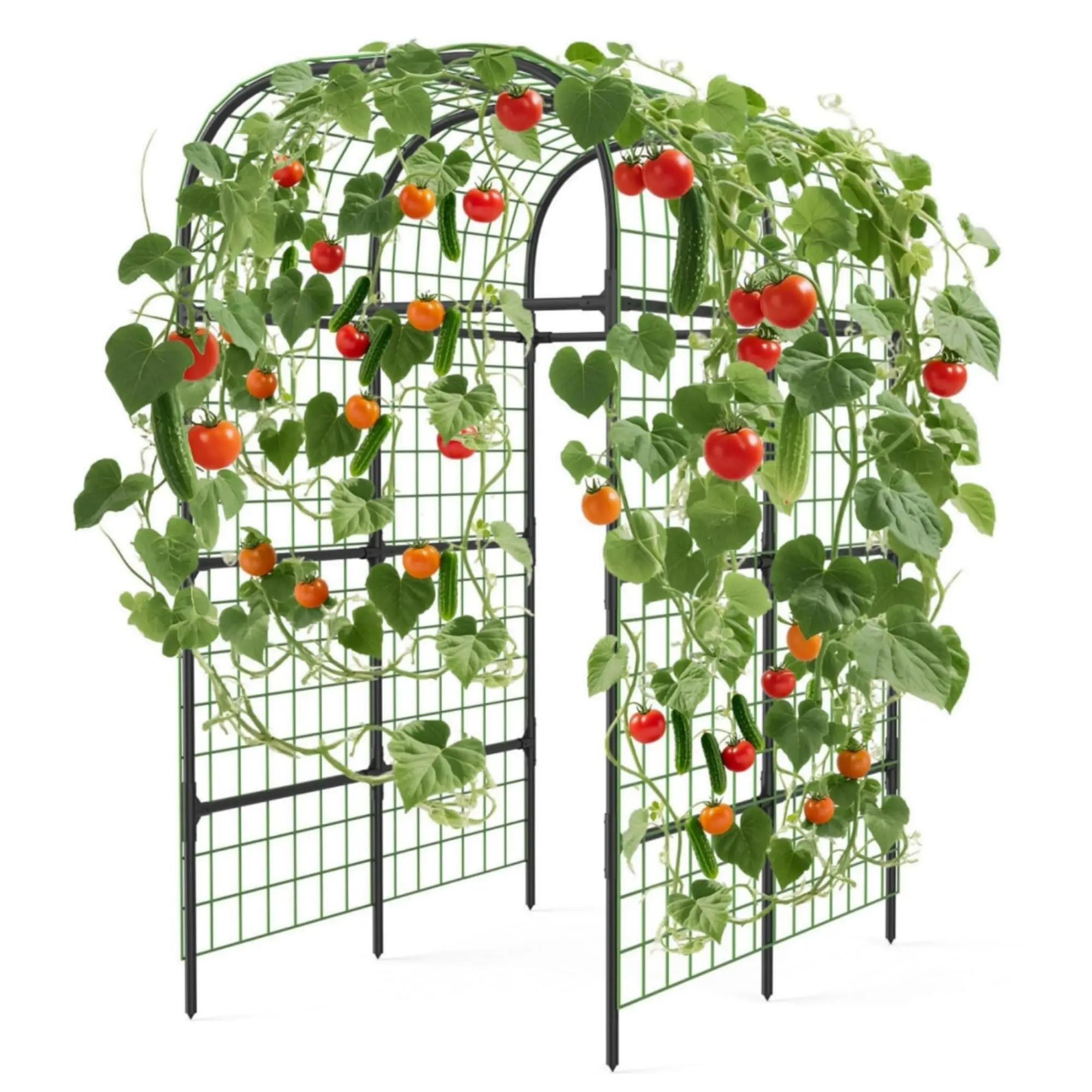 Garvee 7.3ft Metal Garden Arch Trellis, Black Plant Support for Raised Beds, Climbing Vegetables, and Cucumbers Garvee 7.3ft Metal Garden Arch Trellis, Black Plant Support for Raised Beds, Climbing Vegetables, and Cucumbers