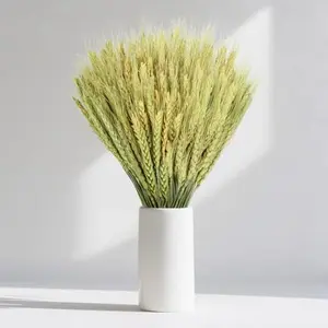 Dried Flowers for Vase - 50 Stems Natural Cyan Wheat Straw Grass 13.3 Inches Grain Ear Dried Wheat Stalks for Decor,Ear Shape Desk Decor