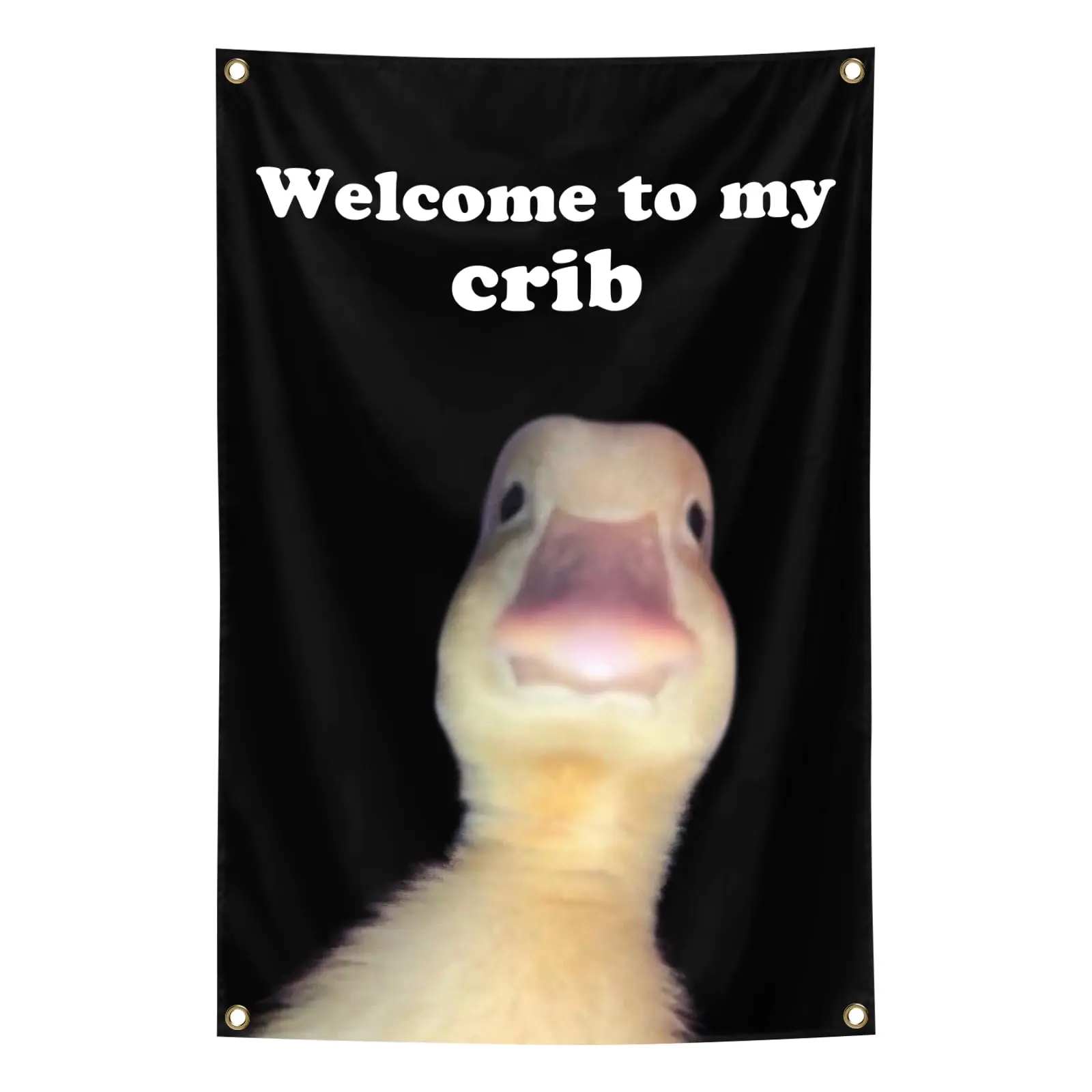 Welcome to My Crib 2x3 ft Durable Wall Flag with Brass Grommets, Funny Tapestry Poster Banner, Home & Room Decorations for Man Cave Bedroom