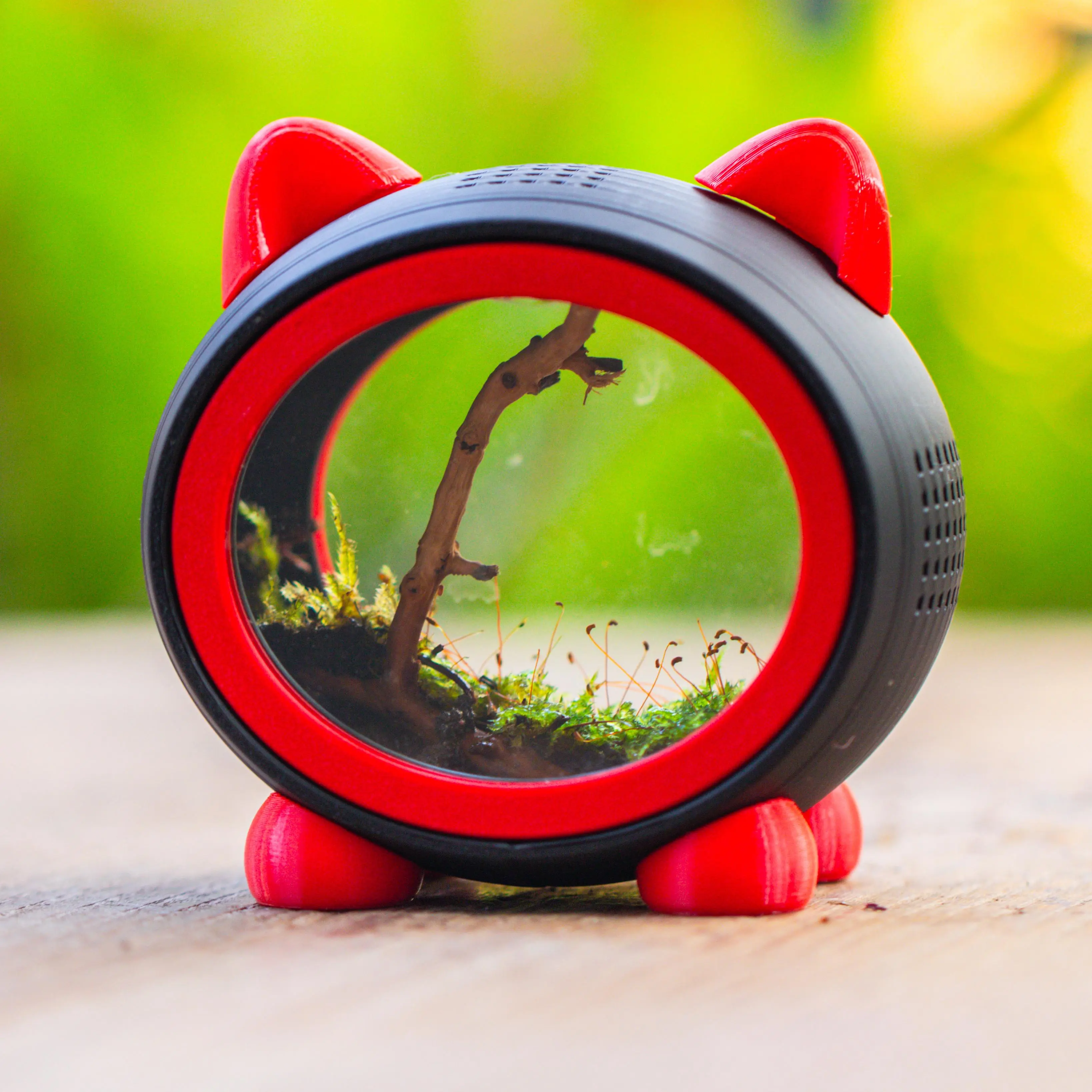 Cute Cat Jumping Spider Enclosure, Dual Magnetic Round Glass Doors, Top & Side Ventilation, Removable Ear Feeding Port, Red & Black Spider Habitat