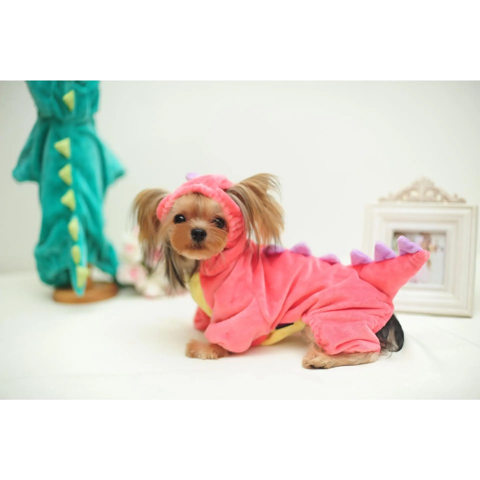 Funny Dinosaur Transformation Costume for Dogs & Cats