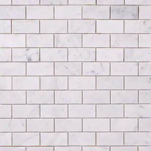 Carrara White Marble 2x4 Mosaic Polished/Honed Sample