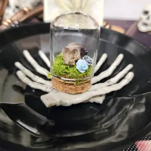 mini terrarium