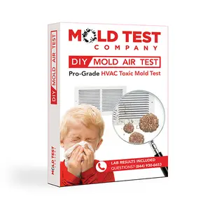 DIY Mold Test