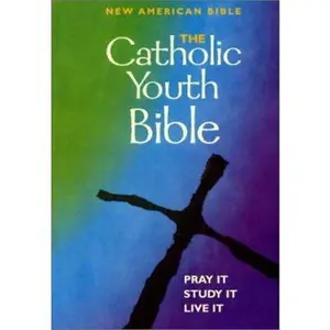 USED-Catholic Youth Bible - New American Bible - Pray It, Study It, Live It by Brian Singer-Towns (Hardcover)