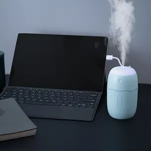 Mini Silent Humidifier for Bedroom Dorm Home Office Car Use Portable Small Car Atomizer