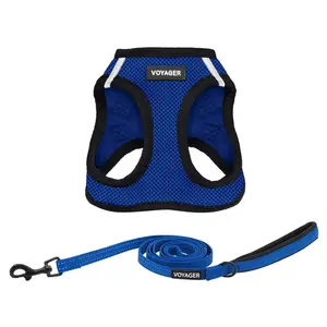 Voyager Step-In Mesh Dog Harness & 5FT Leash Combo Reflective, Breathable All-Weather Pet Harness Set