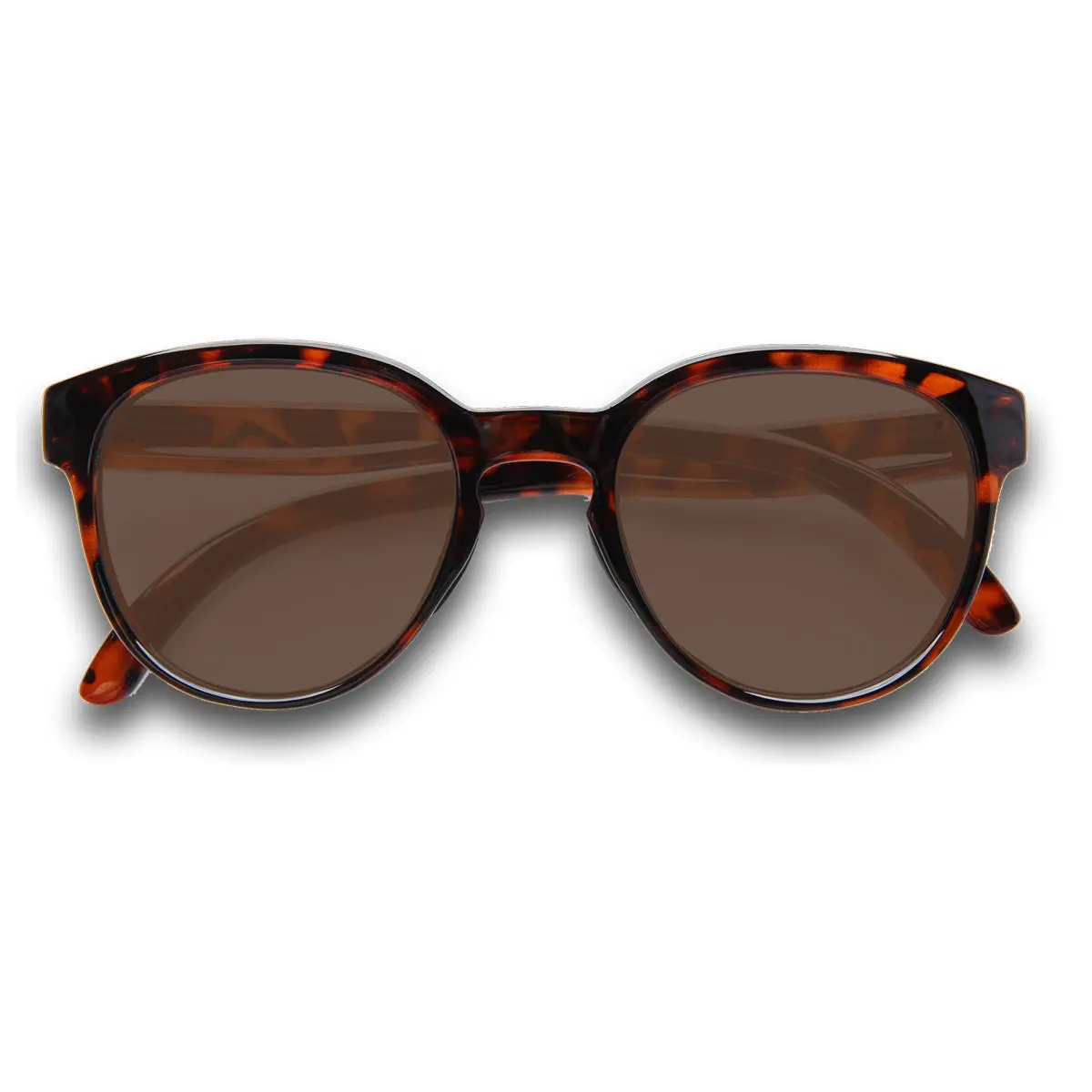 Tortoise / Brown Gradient