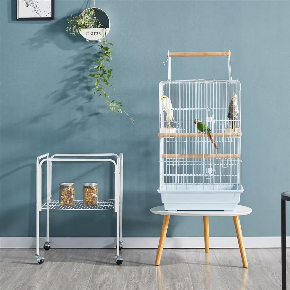 Costoffs 47" Durable Iron Parrot Cage - Open Top Playtop Design, Detachable Rolling Stand, Iron Wire Construction, 8.5”Lx18.5”Wx53.5”H, Ideal for Small Birds (Parakeets)