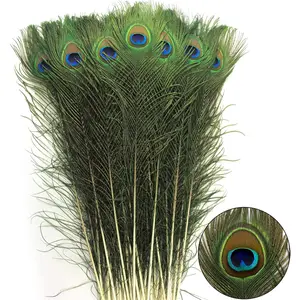 24 count Peacock Feathers  Long in Bulk 30-32 inch(75-80 cm) for Floral Arrangements DIY Craft, Wedding  Party Holiday Decoration Peacock Feathers