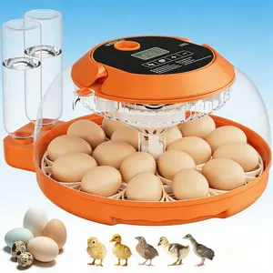 18-Egg Incubator, Fully Automatic with Egg Turner & Temperature/Humidity Control, Clear Lid and Storage, for Hatching Chicken, Duck, Quail Eggs