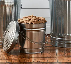 Galvanized Steel Locking Lid Storage Can, 6-Gallon - Kitchen Organizer