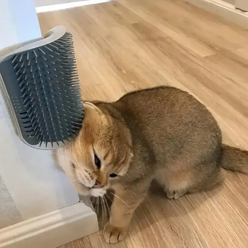 Cat Corner Brush, 1 Count Soft Massage Self Grooming Brush for Cats, Interactive Home Entertainment Tool for Cats and Dogs
