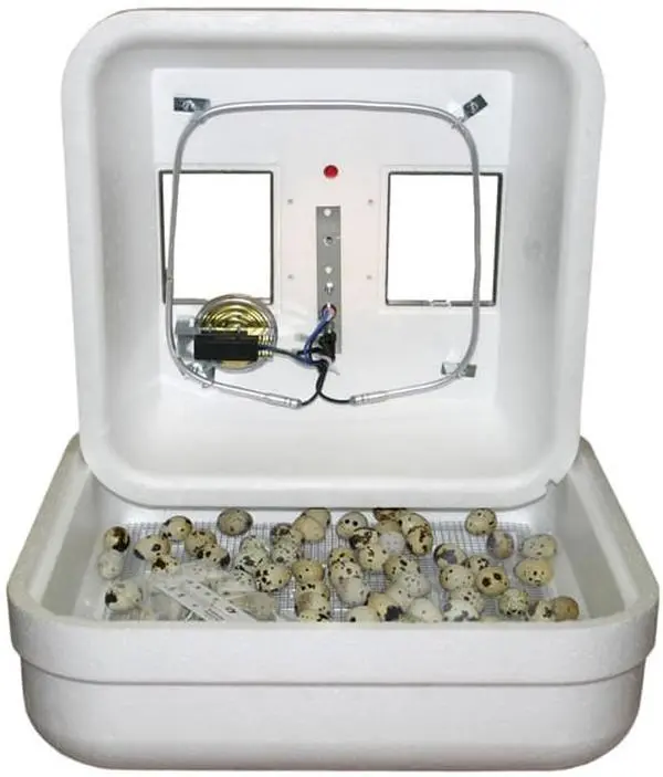Hova-Bator Low Wattage Still-Air Incubator