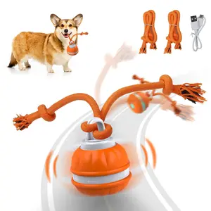 Pet Dog Toys, Ball Toy with Rope, Comes with Bird Chirps, Exercise Activated Rolling Squeaker Ball for Small/Medium/Large Dogs, Automatic Moving Dog Toy Scratching Ball for Boredom Removal and Daily Training, USB Rechargeable