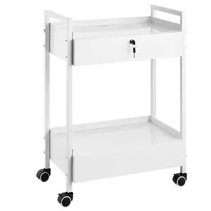 Lab Cart 2-Tier Stainless Steel Utility Cart, Medical Cart With 2 Drawers, Rolling Laboratory Cart In White Finish, Servicing And Transport Cart With Smooth Swivel Casters For Laboratory, Hospital, Dental Clinic, Salon And Beauty