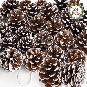 24 PCS Natural Pine Cones, Snowy Pinecone Ornaments, Pine Cones for Crafts Not Artificial Pine Cones - Rustic Mini 2-3cm Pinecones for Christmas Tree, Wreath, Centerpiece & DIY Holiday Crafts Decorations