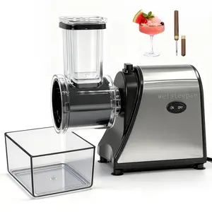 Welsteepse 500W Professional Stainless Steel Electric Ice Shaver | Aesthetic Slushie & Snow Cone Maker for Home Bar Parties | Durable High-Power Shaved Ice Machine | Perfect Luxury Summer Gift for DIY Frozen Drinks