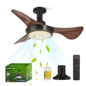 E27 Socket Fan Light with Remote Control, 25 Inch Ceiling Fan with LED Lamp, Adjustable Brightness, Crystal Shade, 3 Speeds, Bedroom Use