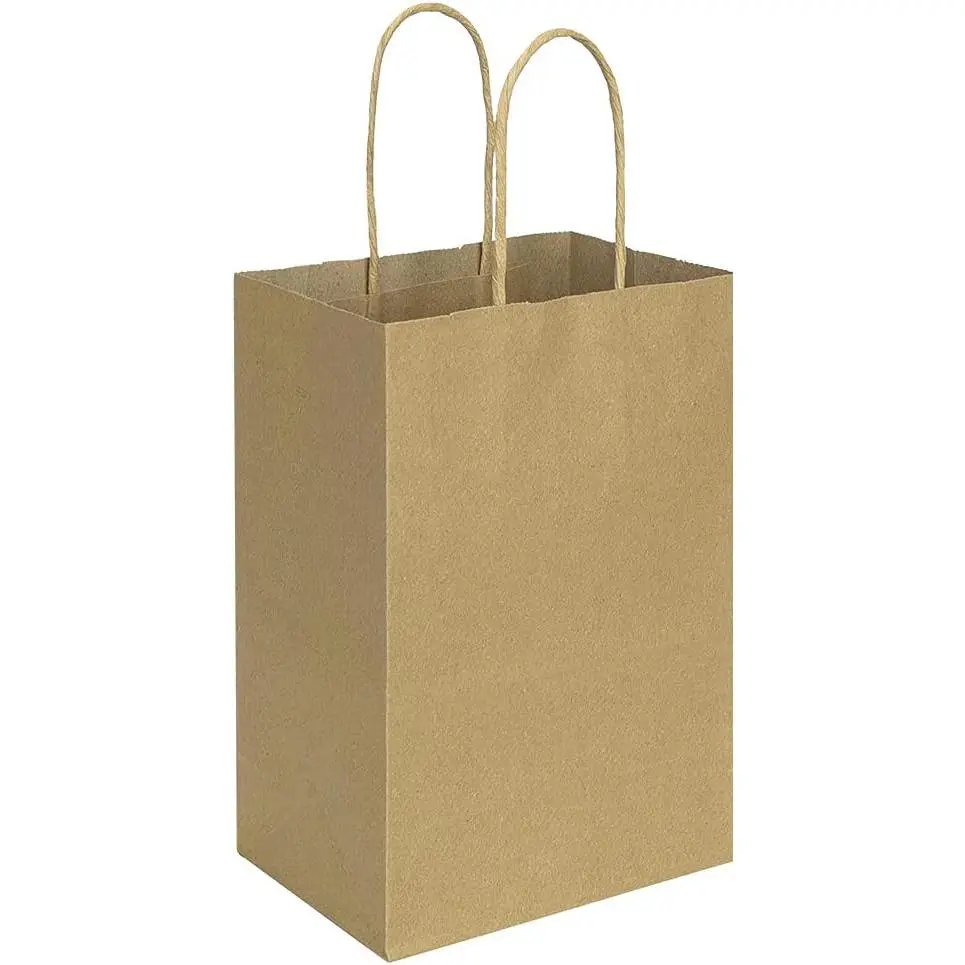 100 Pack 5.25x3.25x8 Inch Brown Small Paper Bags with Handles Bulk,  Paper Bags,  Birthday Party Favors Grocery Retail Shopping Takeouts Business Craft sacks (Plain  100 count)