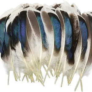 40pcs/80pcs Pack of Handmade Craft Feathers, DIY Handmade Art Decorations, Suitable for Holiday Parties, Parade Costumes, Hair Accessories, Hats, Handicrafts, Home Decorations, Weddings, Birthday Parties, Bachelor/bachelorette Party Decorations, Dreamcatc
