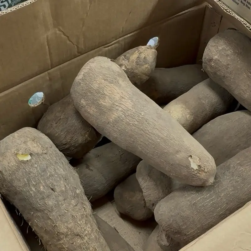 Fresh Ghana Pona Yam Box Pack, 50lbs African Pantry Packaged Root Vegetable, Boxed