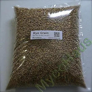 10 Pounds Rye Grain / Rye Berries