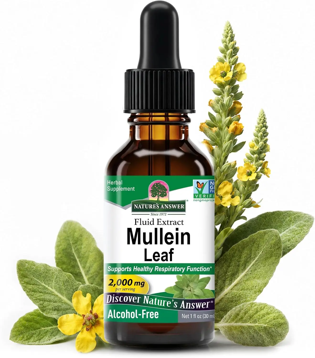 Mullein Leaf Liquid Extract Herbal Supplement Daily Drops for Healthy Respiratory Function Mucous Membranes Support Cleanse Alcohol Free Gluten Free Non GMO Kosher Daily Liquid Supplement for Lung Detox 1 Fl Oz