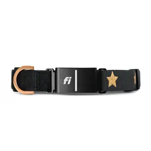 The DOGISTRY x Fi Rockstar 3+ Collar Band