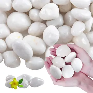 10Ib High Polished 1-2 inch Large White River Rocks Pebbles Decorative Stones Ideal for Landscaping Garden Plants Aquarium Home Decor