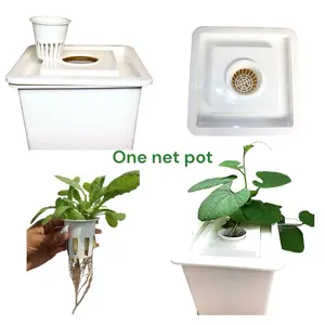Hydroponic Grow System Bucket Culture Indoor Garden  With Lid One  Net
