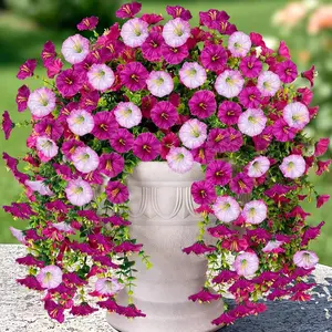 4Pcs Artificial Hanging Flowers, Plastic Floral Plant, Mix Color Morning Glory with Eucalyptus Leaves, UV Resistant, Realistic Faux Plants for Outdoor Home Office Garden Decor, for Thanksgiving, Christmas, Artificial Flowers For Outside