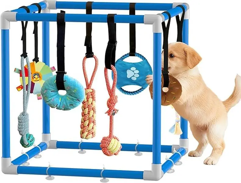 Indoor PVC Frame Puppy Play Gym (8 Toy Play), Stretchy Velcro Rope & Interactive Toys Keep Pups Busy, Chew-Time Relief Teething Aid for Small Breeds, Blue Indoor Festive Party Gift - PVC Frame Resists Daily Puppy Wear