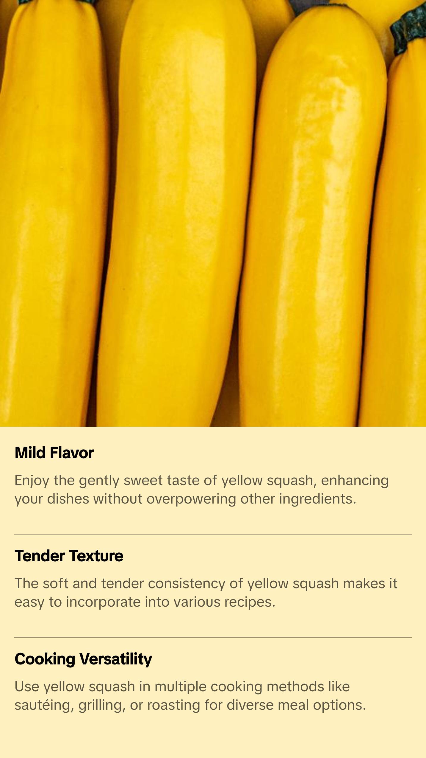 Summer Yellow Squash Seeds