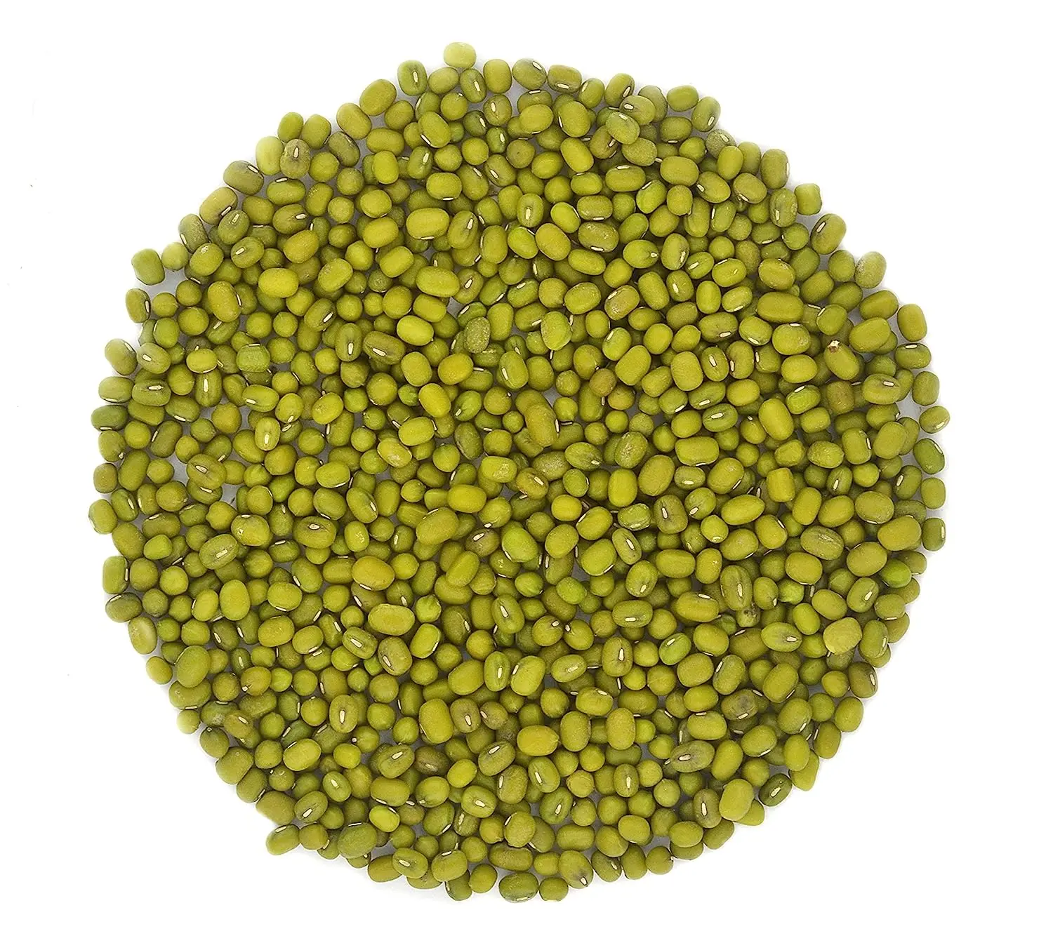 Whole dried Organic Mung Beans aka 'Green Gram' 'Maash' 'Moong' Prewashed Clean Ready to Cook non GMO