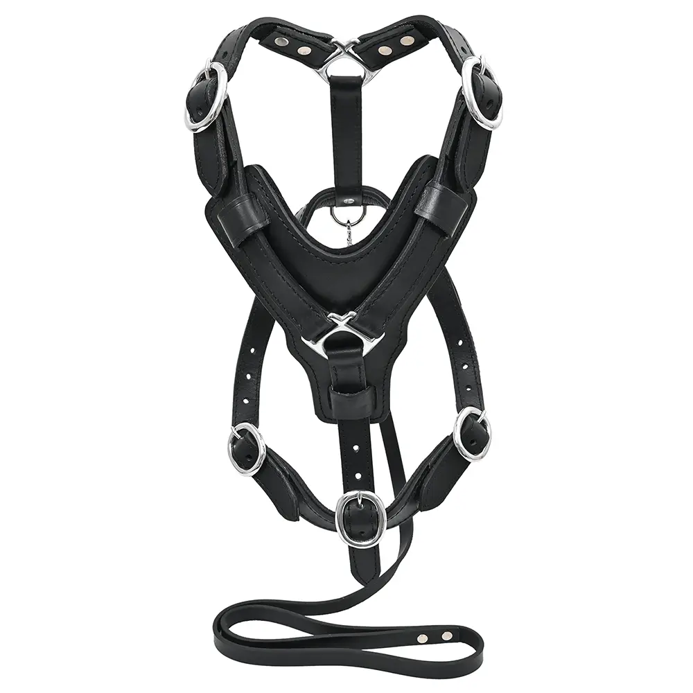 Large Leather Dog Harness Black Padded Genuine Matching Leash Hilason