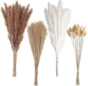 100 PCS Small Boho Pampas Grass, 17" Naturally Dried Pompas, Pampas Grass Decor for Wedding , Boho Party Decorations, Table Decor（Brown and White）