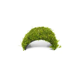 Christmas Moss on Coconut Shell Bridge