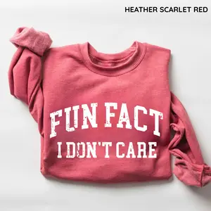 Fun Fact I Don't Care Funny Sweatshirt, Sarcastic College Sweatshirt, Women's Crew Neck Top
