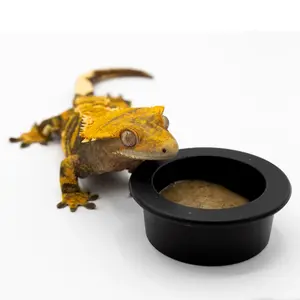 Small Silicone Gecko Feeding Cups