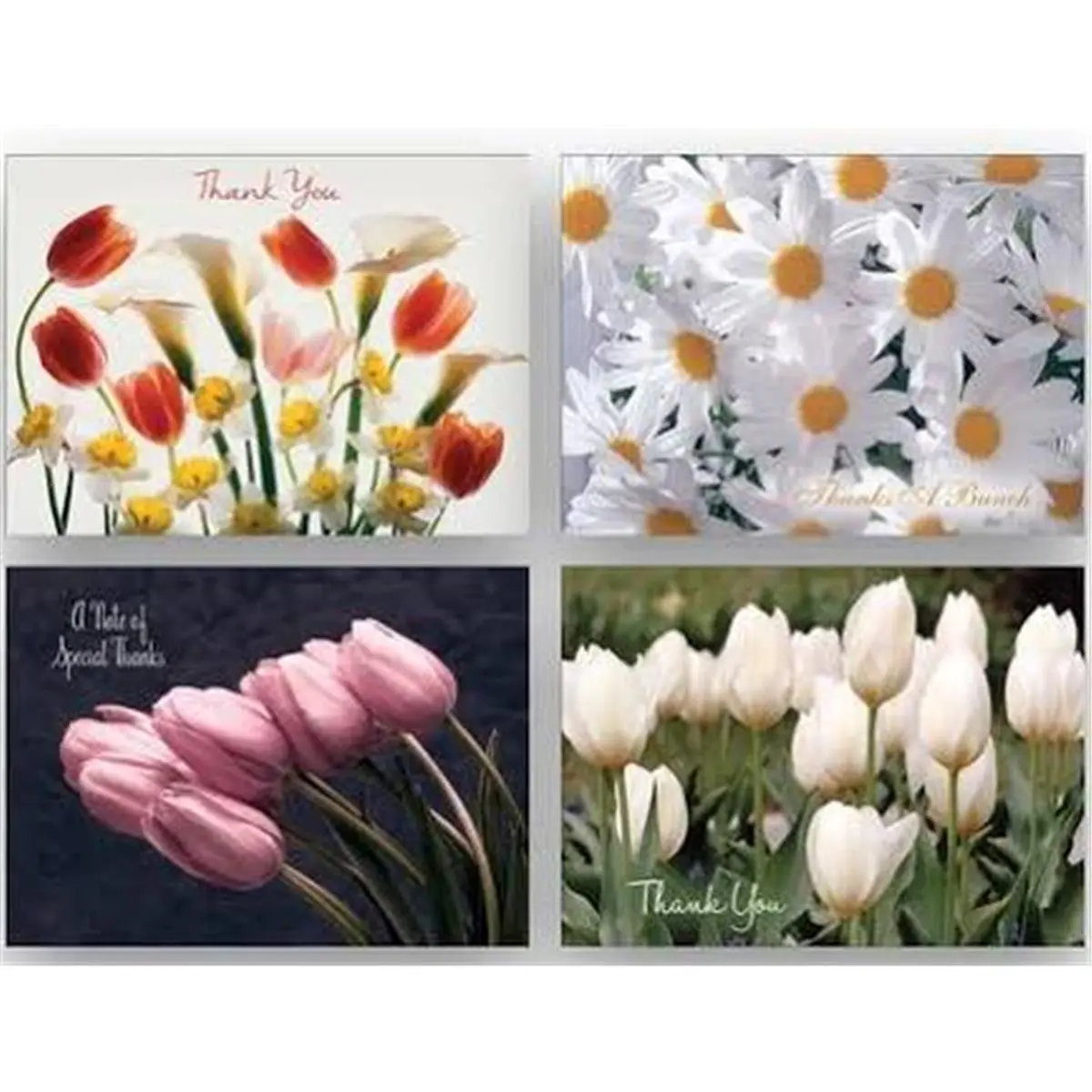 Crown Point Graphics Coastal Theme Paper-Based Printed Greeting Cards - Thank You, Thinking of You Gratitude Cards, Box of 12, Thank You Cards, Paper-Based Greeting Cards