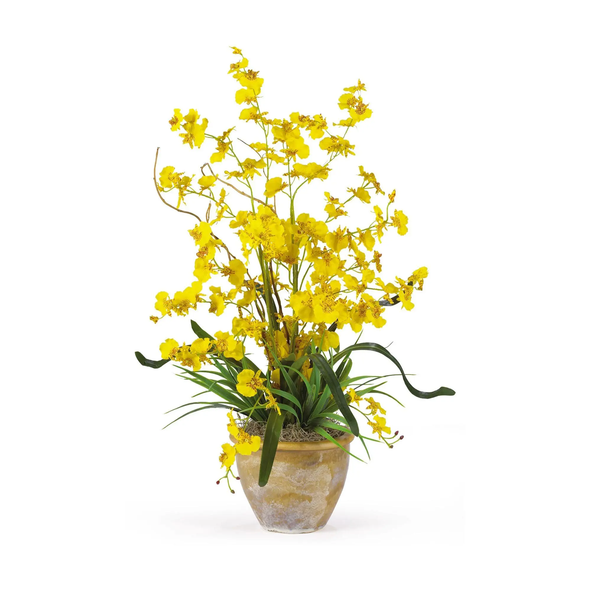 26" Double Orchid Dancing Lady Arrangement by Nearly Natural