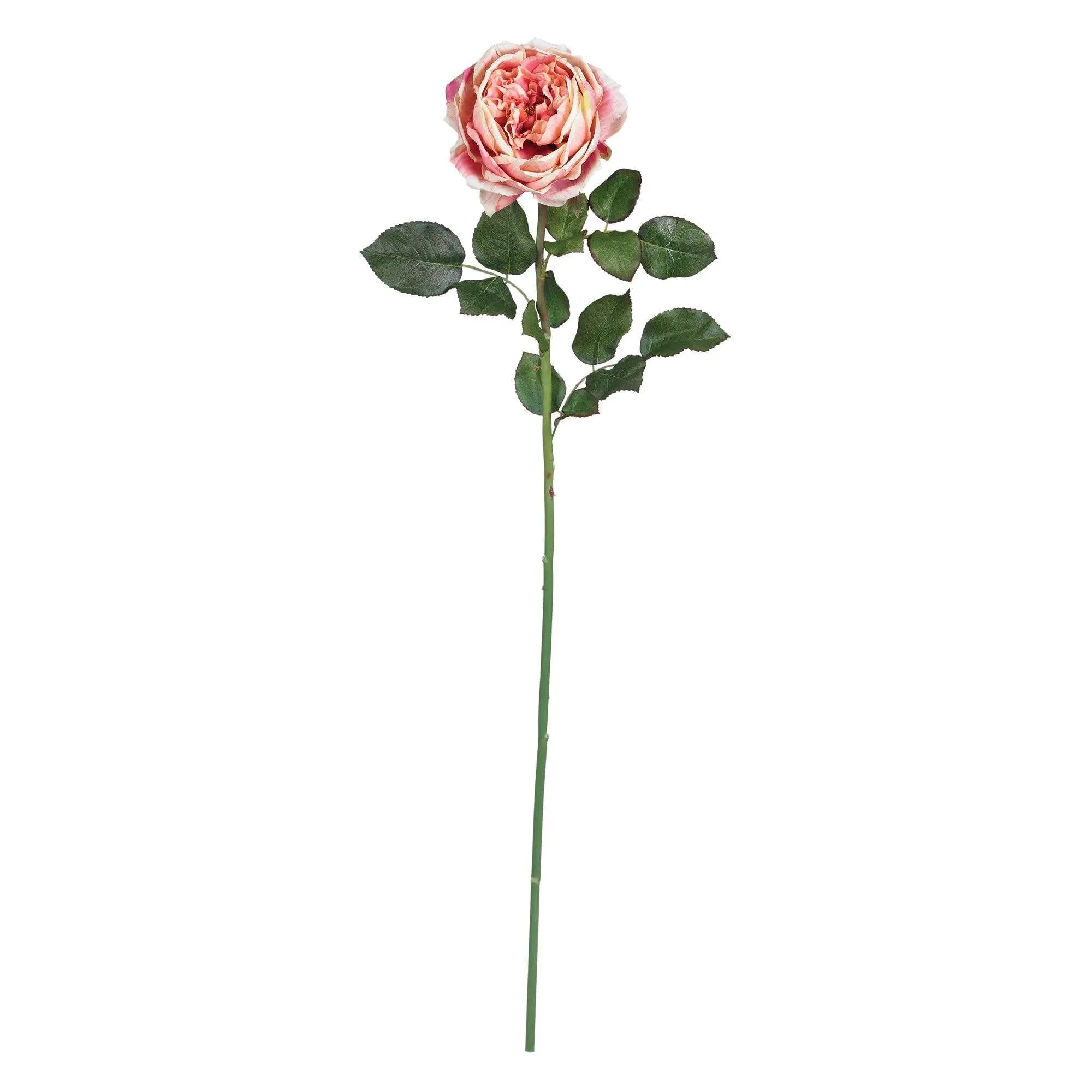 Artificial Red Roses 12-Piece 31-Inch Faux Flower Stem Set - Full Bloom, Realistic Look with Faux Thorns, Floral Decor for Home & Room, Hunter Green Stems
