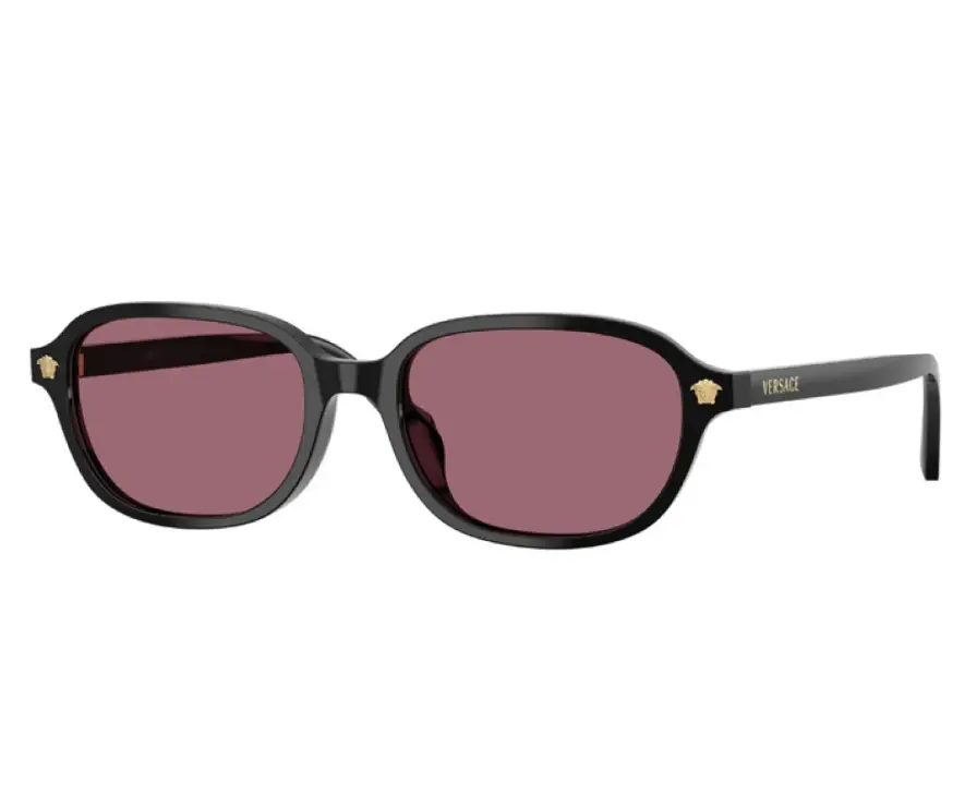VERSACE Women's Sunglasses VE4514D