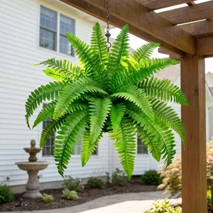 4pcs Large Boston Fern and Camellia Wall Hanging Combo, Outdoor - Wedding Garden Modern Decor | Garden and Yard Decoration, Maintenance-Free - Perfect for Spring, Valentine's Day, Mother's Day, Easter, St. Patrick's Day, Birthdays