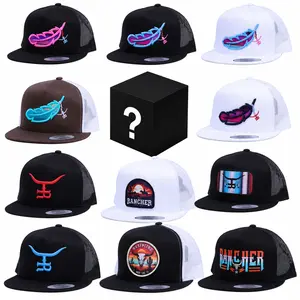 Classic One Hat Feathered Outlaw - The Rancher Hat Collection Brown/Turquoise Feather, Embroidered hat, Snapback, Mesh hat