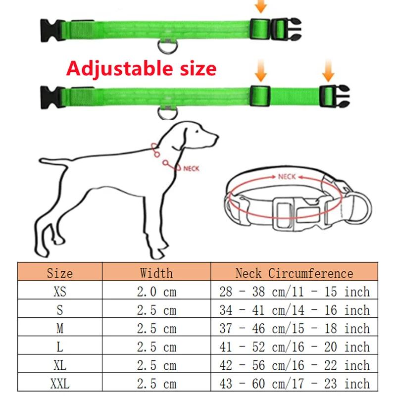 3 Modes Dog Luminous Charge Collar Led Usb Cat Dogs Collars Detachable Night Led Glow Dog Loss Prevention Collar Pet Accessories 3 Modes Dog Luminous Charge Collar Led Usb Cat Dogs Collars Detachable Night Led Glow Dog Loss Prevention Collar Pet Accessories